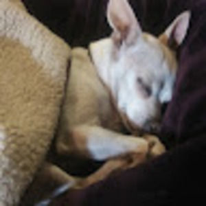 Meet your Posher, Darron